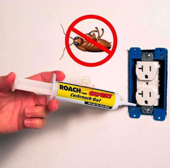 Roach Expert Cockroach Gel