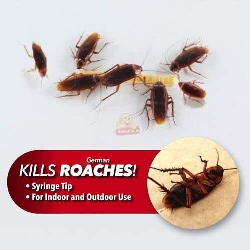 Roach Expert Cockroach Gel