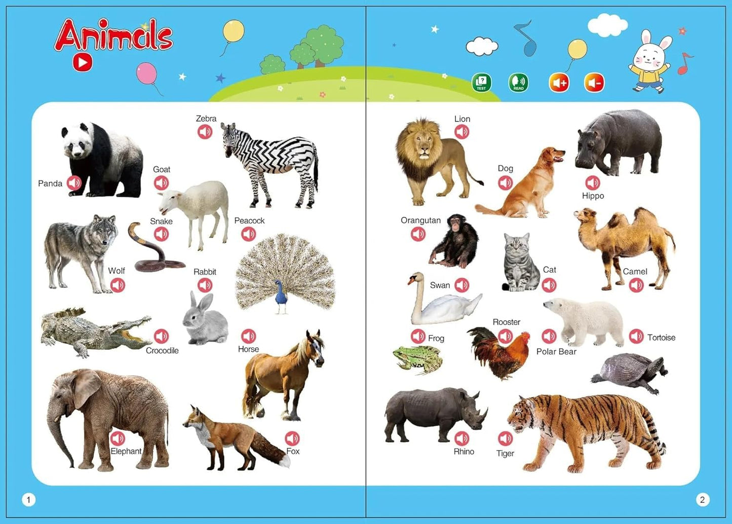Early English Education Audiobook for kids | Kids Intelligence Book with Music|