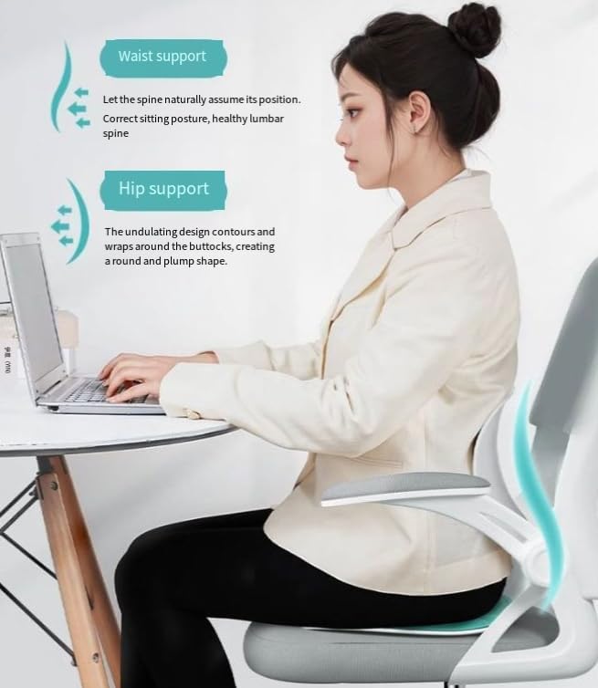 POSTURE PRO LUMBAR SUPPORT ULTIMO Ergonomic excellence: Lumbar support Chair