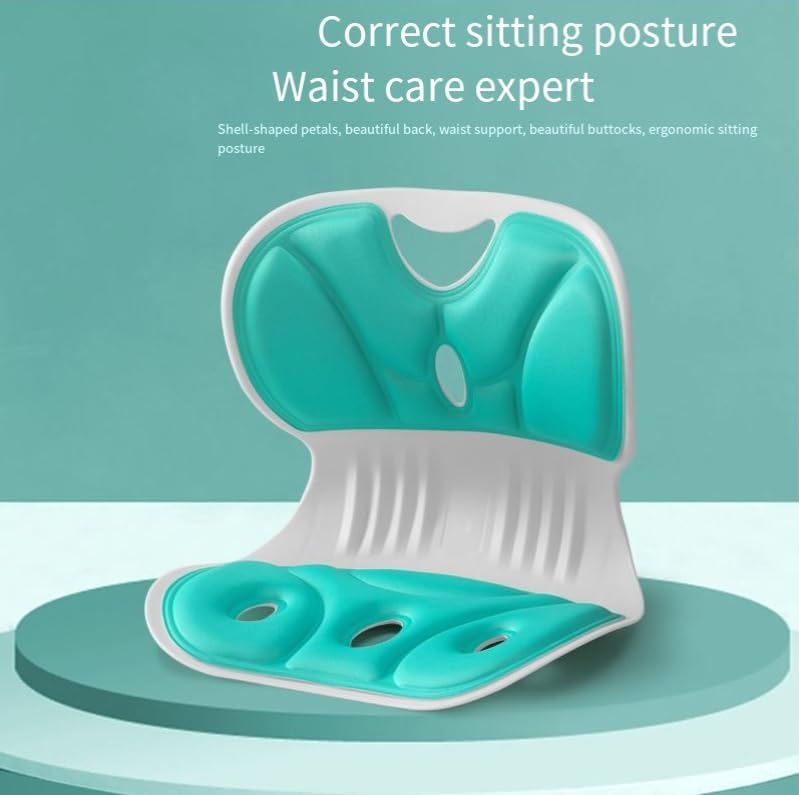 POSTURE PRO LUMBAR SUPPORT ULTIMO Ergonomic excellence: Lumbar support Chair