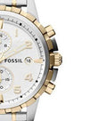 swatch